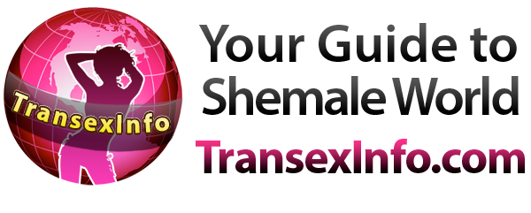 your guide to shemale world
